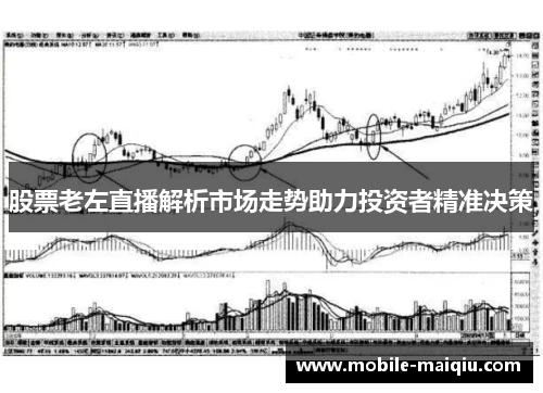 股票老左直播解析市场走势助力投资者精准决策