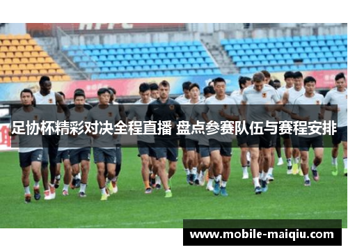 足协杯精彩对决全程直播 盘点参赛队伍与赛程安排